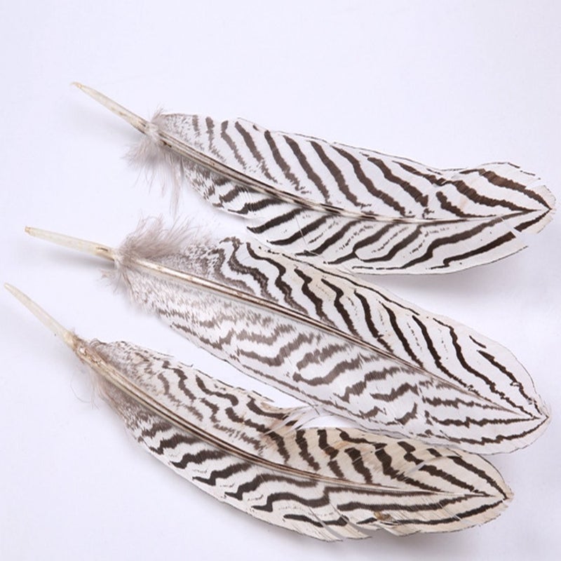 Sowder 10pcs Silver Pheasant Plumage Feathers 7-10 Inches Home Wedding Decoration - Image 2